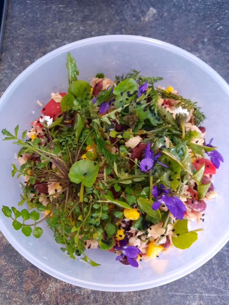 Mittagessen mit Wildkräutern